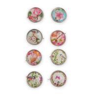 ARS2001 Набор декоративных брадсов 8шт, 20мм, Astra&Craft