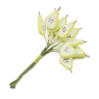 H31-2095 Декоративный букетик 'Груши половинки', зеленые, упак./12 шт., Astra&Craft