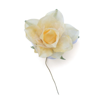 MH1-249 Набор декоративных цветов D=5,5*2,5см, 4шт, Astra&Craft (F237 шампань)