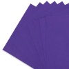 Фетр листовой мягкий, 1.0мм, 20х30см, 10 шт/упак Astra&Craft (AF875 темно-фиолетовый)