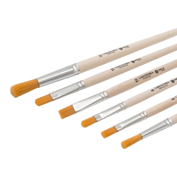 Набор кистей №6, синтетика (круглая №6,10, плоская №8,10, овальная №8,10), 6шт/уп, Astra&Craft