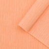 Бумага гофрированная крепированная, 50*200 см, 35 гр/м2, 80-704 абрикосовый, 2 шт, Astra&Craft