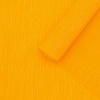 Бумага гофрированная крепированная, 50*200 см, 35 гр/м2, 80-18 оранжевый,2 шт, Astra&Craft