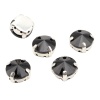 РЦ018НН10 Хрустальные стразы в цапах круглой формы, черный 10 мм, 5 шт. Astra&Craft