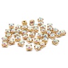4AR169/176 Хрустальные стразы в цапах/золото, 6мм, 40шт/упак, Astra&Craft (42 прозрачный AB)
