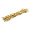 Проволока синельная блестящая 'Цветок', 12мм*300мм, 15шт/упак, Astra&Craft (B-045 золотой)