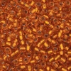 Бисер, (стекло), 11/0, упак./20 гр., Astra&Craft (29B т.оранжевый/прозр.серебрист.центр(круг.отв.))