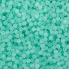 2006 Бусины пластиковые, полупроз., матовые цвет., круглые, 6мм, 20гр,170(+/-10)шт/упак, Astra&Craft (004 бирюзовый)