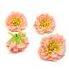 AR443 Набор декоративных цветов, 7см, 4 шт/упак (персиковый)