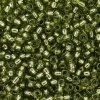 Бисер, (стекло), 11/0, упак./20 гр., Astra&Craft (55А зеленый/прозрачный с серебрист. центром ( кругл. Отв))