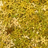 Пайетки 'снежинки' 13мм, Astra&Craft 10г (A20 золото голограмма)
