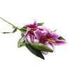 HY125-57002 Лилии, 84 см (C Сиреневая)