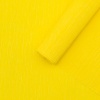 Бумага гофрированная крепированная, 50*200 см, 35 гр/м2, 80-30 желтый, 2 шт, Astra&Craft