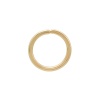 4AR244/245/246 Кольцо соединительное 0,9*8мм, 50шт/упак, Astra&Craft (Золото)